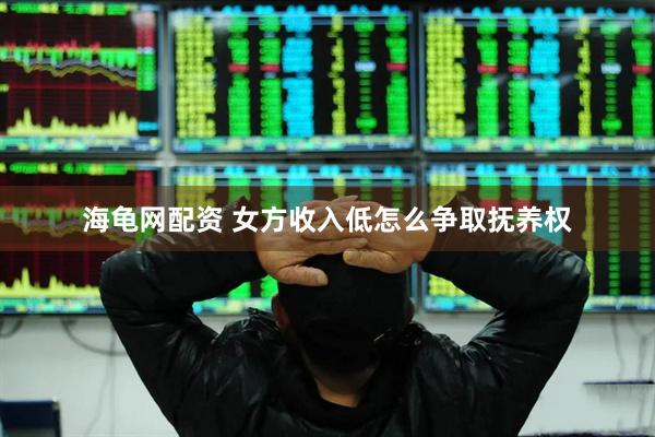 海龟网配资 女方收入低怎么争取抚养权